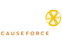 8.-cause-force